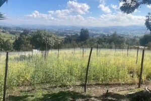 Finca Fonseca Fuquen