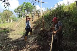 Finca GOJO &ndash; Ortiz Velandia