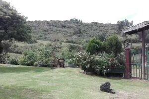 Finca Hato Viejo &ndash; Guachet&aacute;