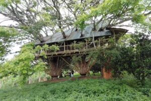 finca hotel el encanto