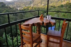 Finca Hotel Villas del rio