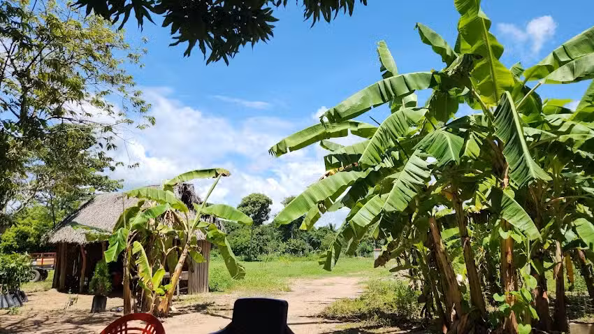 Finca Isabel Luc&iacute;a EMH