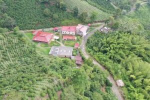 Finca la betulia vda paraiso