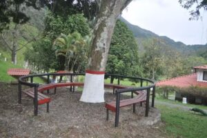 Finca la Ceiba