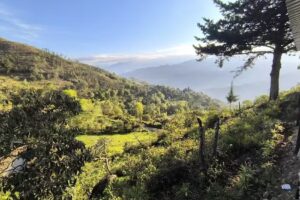 Finca La Dorada Casa en la monta&ntilde;a
