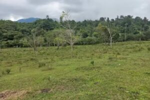 Finca la esperanza