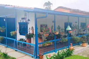 Finca La Margarita Alto De La Paloma