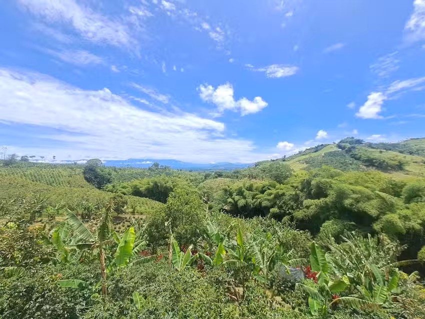 FINCA LA SIRIA ALTAGRACIA