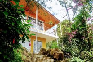 Finca La Vega ( Piscina y Estadero) Café Don Joaco