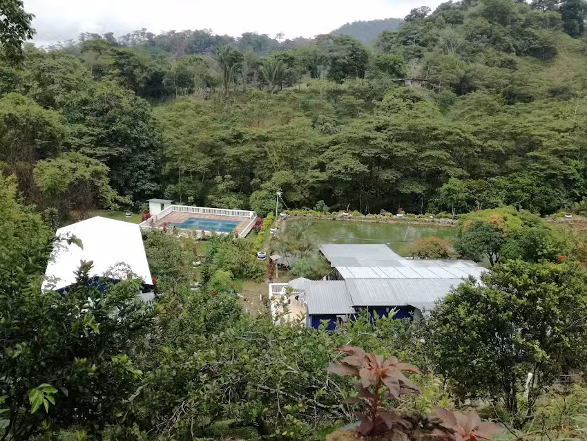 Finca Las Heliconias