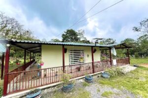 Finca las margaritas