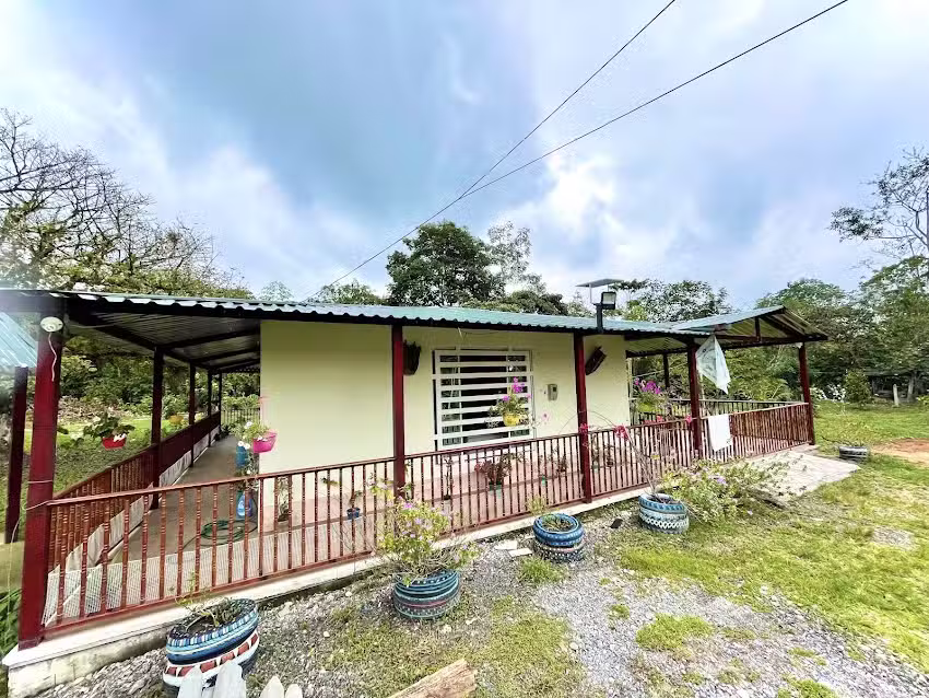 Finca las margaritas