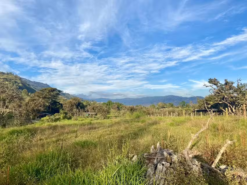 Finca Le&oacute;n Moreno