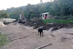 Finca Los Alticos- Los Jaimes