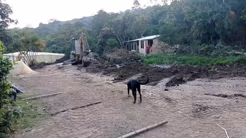 Finca Los Alticos- Los Jaimes