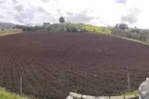 Finca los morti&ntilde;os