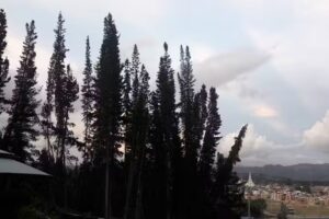 FINCA LOS PINOS LOTE EL LLANO