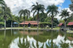 Finca oasis de la honda