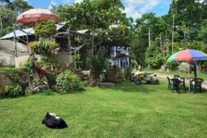 Finca Quinini Zimbabwe