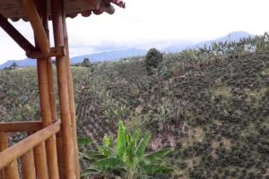 Finca San Miguel Arcangel