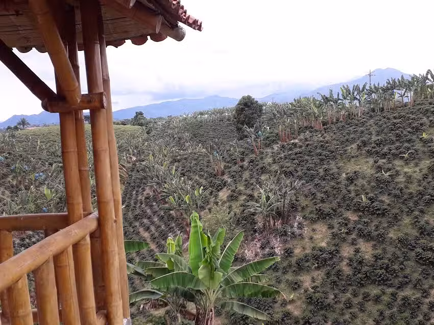 Finca San Miguel Arcangel