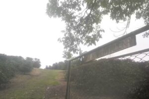 Finca Santa Catalina