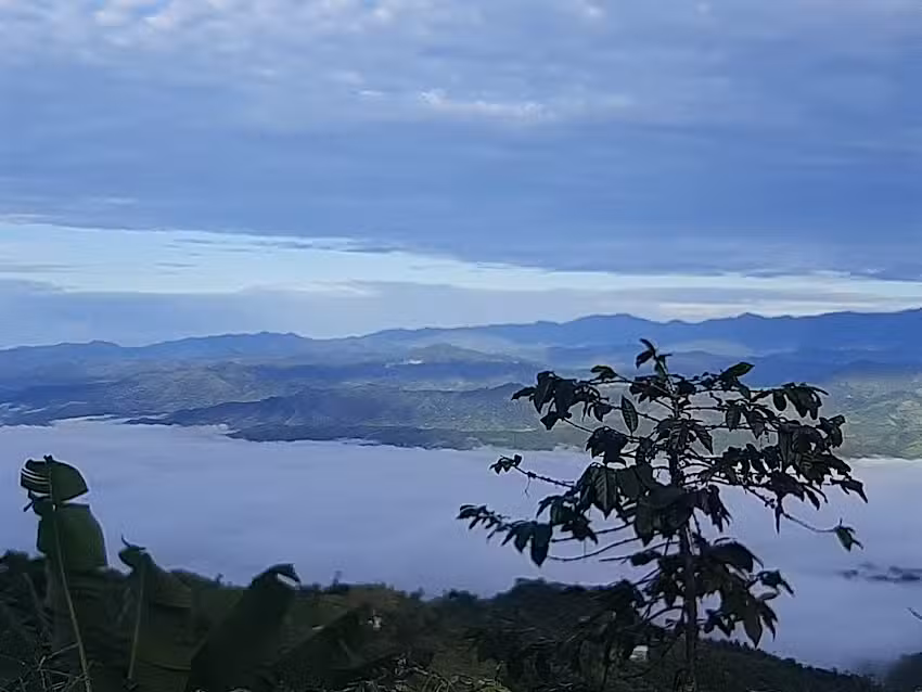 FINCA TURISTICA EL REFUGIO DE TARZAN