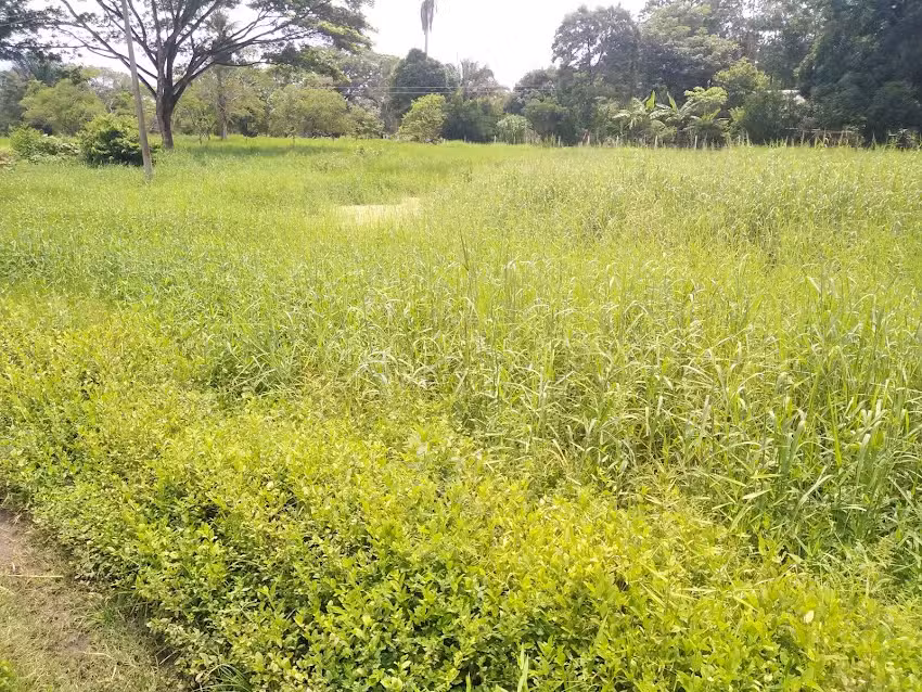 Finca Villa Alejandra