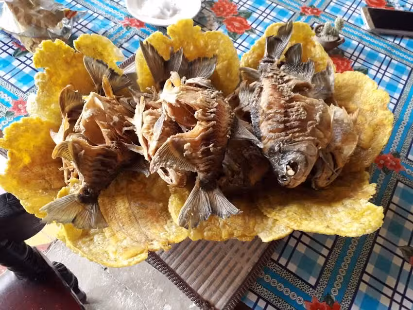 Finca Villa Atahualpa