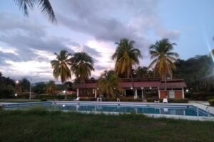 fincas puerto remolino