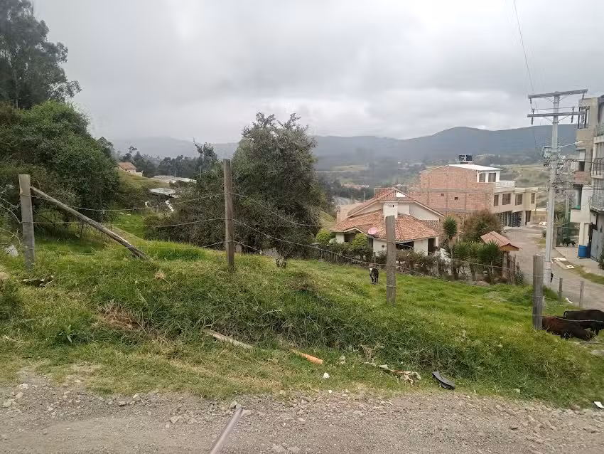 Flandes alto la Calera