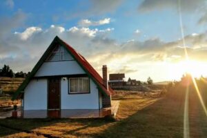 Frailejones Campestre