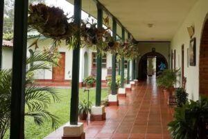 Fundaci&oacute;n Vida Sana Popay&aacute;n