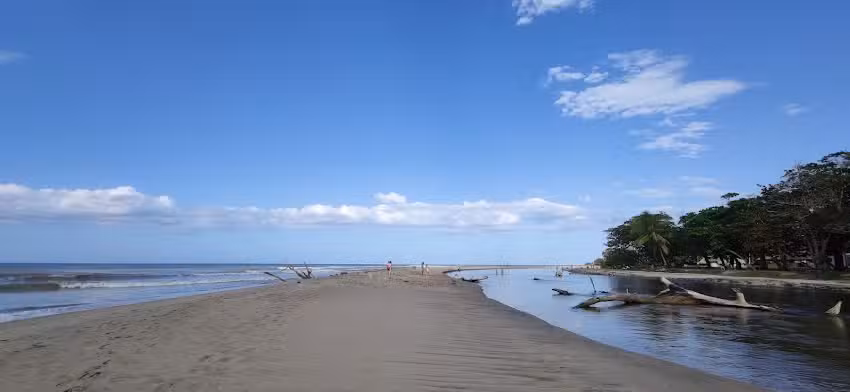 Gaviotas, R&iacute;o y Mar