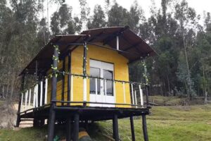 Glamping Caba&ntilde;a del Arbol