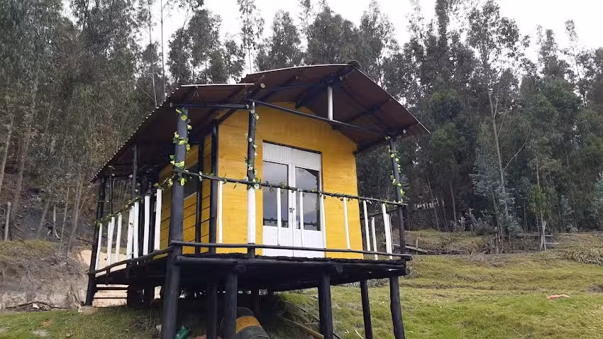 Glamping Caba&ntilde;a del Arbol