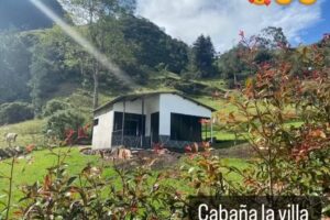 Glamping Ecoturistico La villa
