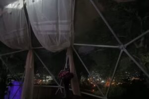 Glamping entre &aacute;rboles