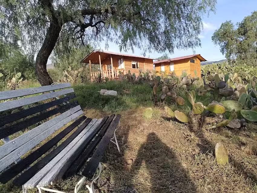 Glamping Entre Nopales