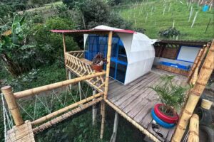 Glamping los 3 potrillos