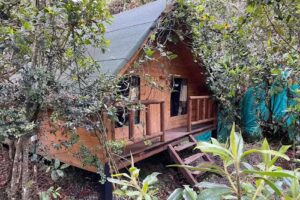 Glamping Pigmalion Santa Elena Antioquia