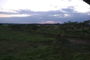 Granja Mar&iacute;a del Carmen