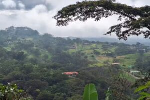 Granja Org&aacute;nica Cascadas de Santa Lucia