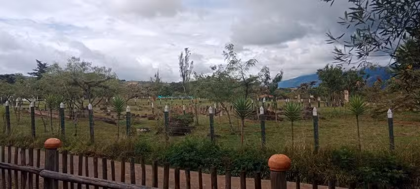 Habitaci&oacute;n en Territorio Ancestral