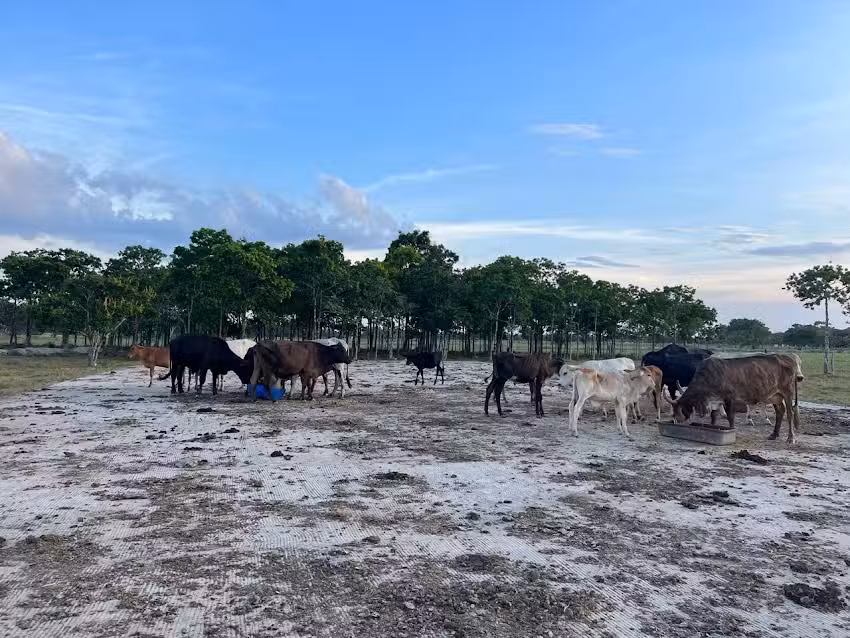 Hacienda Ecol&oacute;gica el Cabrestero