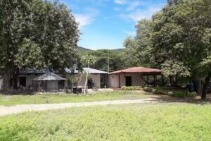 Hacienda La Providencia