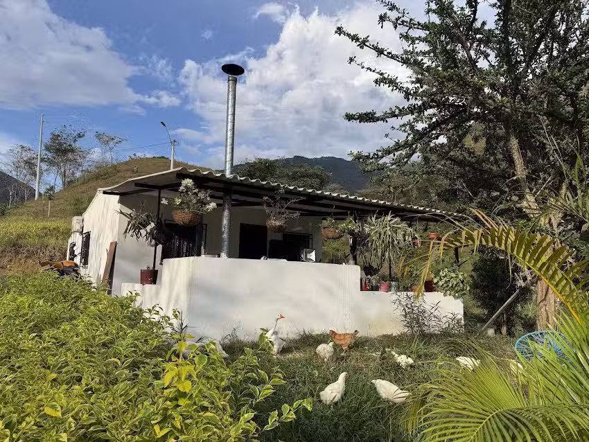 Hacienda Maracaibo
