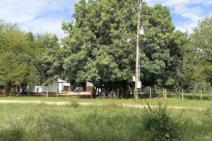 Hacienda “San Daniel”