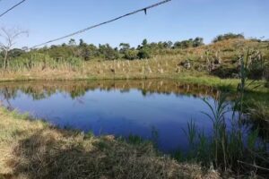 Hacienda Santa Maria