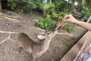 Hc-vp Hotel Room Facing The Sea With Pool Air Conditioning And Wifi